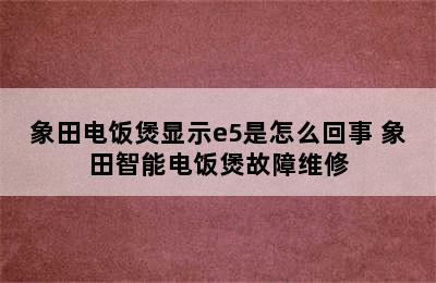 象田电饭煲显示e5是怎么回事 象田智能电饭煲故障维修